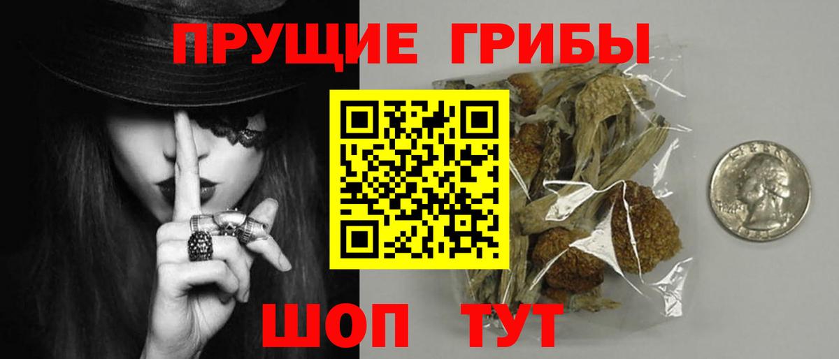 Псилоцибиновые грибы Psilocybine cubensis  Вход с VPN  Сухой Лог 